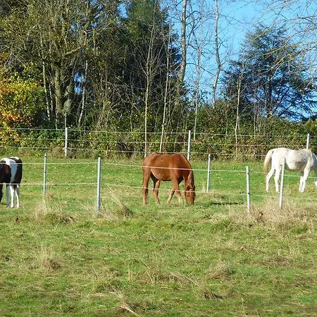 Διαμέρισμα Koenig